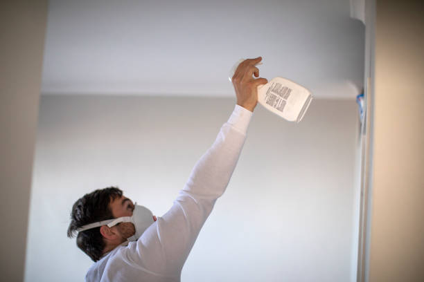 Best Emergency Mold Removal  in Coram, NY